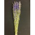 LARKSPUR  25" Dark Blue - OUT OF STOCK